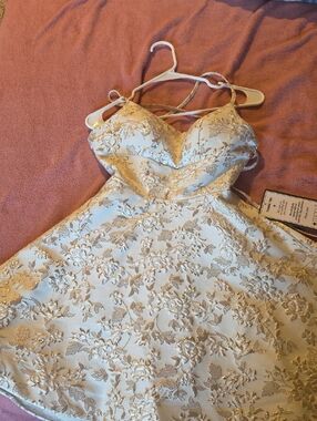 Ivory and Gold Floral Lace Party Dress